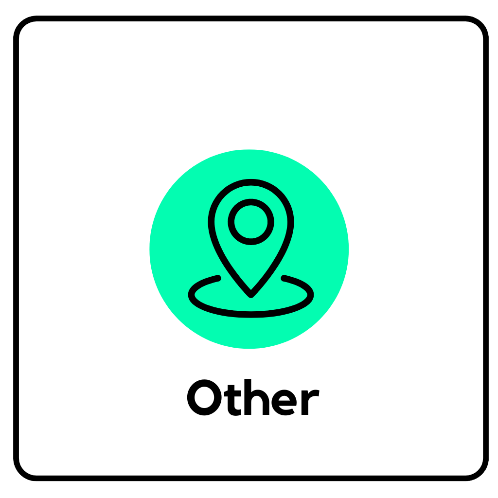 Other icon